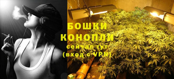 бошки Костерёво