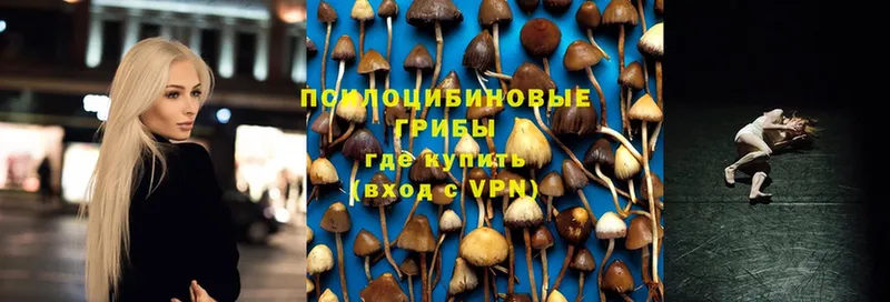 мега зеркало  Кострома  Псилоцибиновые грибы MAGIC MUSHROOMS 