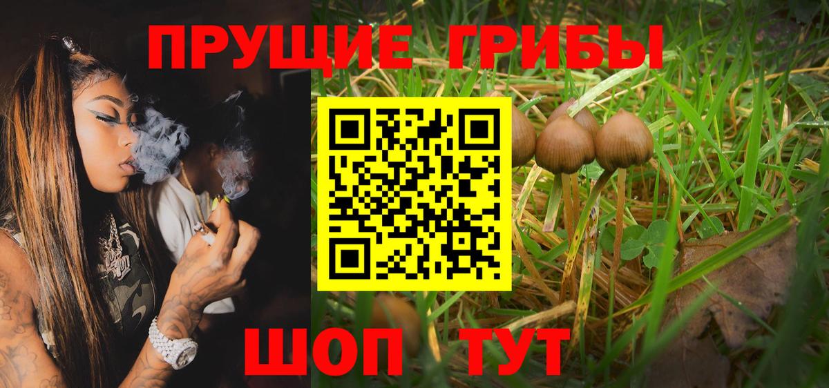 Кострома  Галлюциногенные грибы GOLDEN TEACHER  Галлюциногенные грибы Magic Shrooms  Вход с VPN 