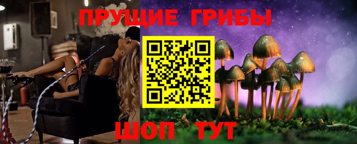 Галлюциногенные грибы мицелий Кострома